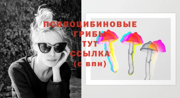 spice Балахна